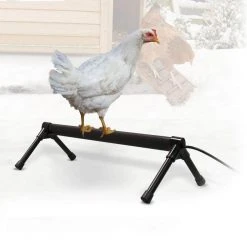 Flash Sale ❤️ 36 in. Thermo-Chicken Heated Perch Wired with 57 in. Cord by Unbranded 🥰 -Cheap Fence Gates Plus Store accessories 100213426 31 1000