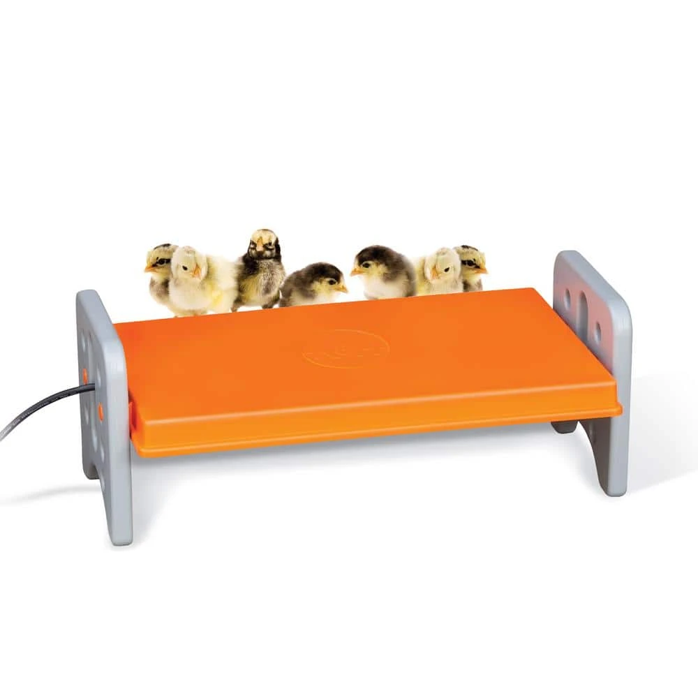 Best deal ๐ K&H 11.5 in. x 20 in. x 8 in. 40-Watt Thermo-Poultry Brooder Large Gray/Orange by Unbranded ๐ 5 Best deal ๐ K&H 11.5 in. x 20 in. x 8 in. 40-Watt Thermo-Poultry Brooder Large Gray/Orange by Unbranded ๐ - Image 3