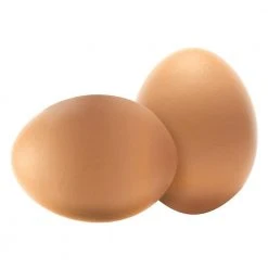 Best deal ⭐ Wooden Decoy Chicken Nesting Eggs White Training Eggs (Coverage Area - 0-Acres ) In-Ground (Set of 2) by Animal House ✨