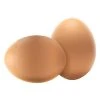 Best reviews of ๐งจ Wooden Decoy Chicken Nesting Eggs Brown Training Eggs (Coverage Area - 0-Acres ) In-Ground (Set of 2) by Animal House ๐ 2 Best reviews of ๐งจ Wooden Decoy Chicken Nesting Eggs Brown Training Eggs (Coverage Area - 0-Acres ) In-Ground (Set of 2) by Animal House ๐ -Cheap Fence Gates Plus Store animal house accessories 5403731 64 1000