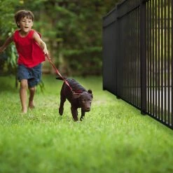 Best Pirce 🥰 Vinings 4 ft. W x 4 ft. H Black Aluminum Pre-Assembled Fence Gate by FORGERIGHT ❤️ -Cheap Fence Gates Plus Store black forgeright metal fence gates 861722 44 1000