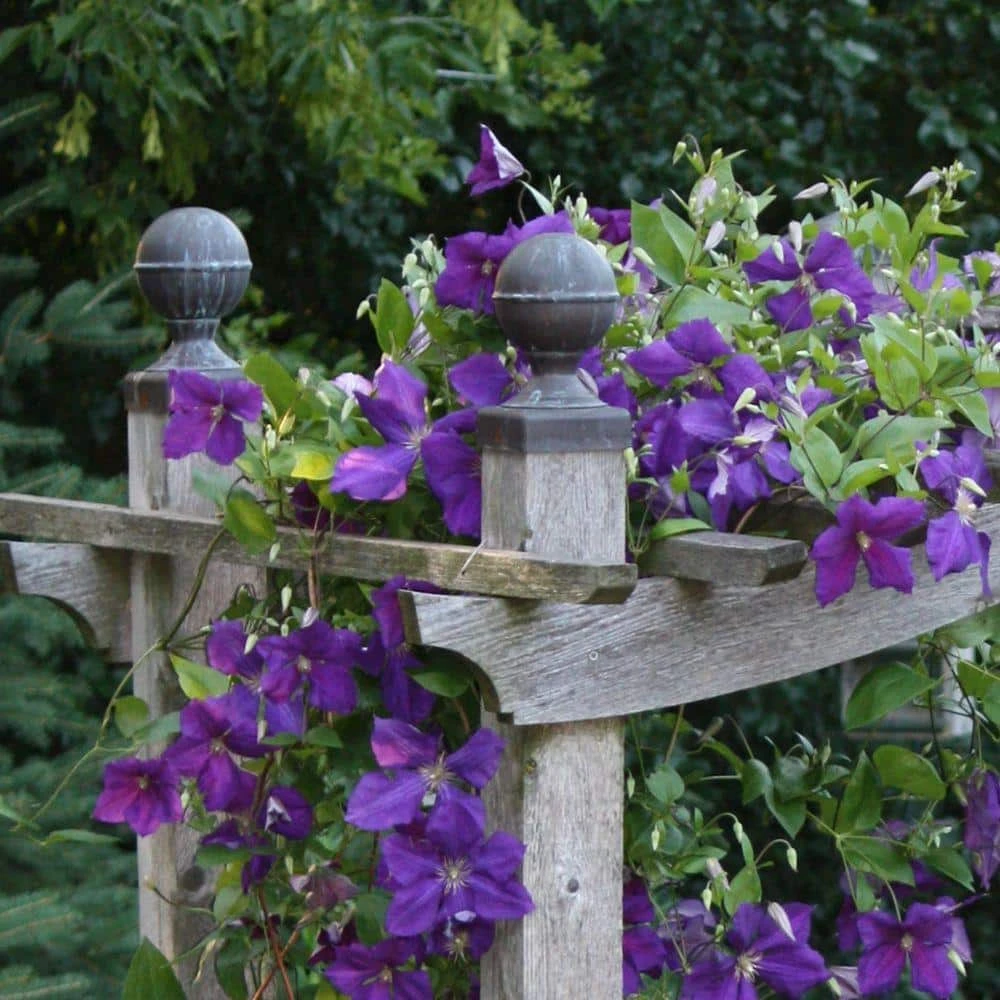 Coupon ๐ 6 in. x 6 in. Copper Ball Top Slip Over Fence Post Cap by Protectyte โญ 7 Coupon ๐ 6 in. x 6 in. Copper Ball Top Slip Over Fence Post Cap by Protectyte โญ - Image 5