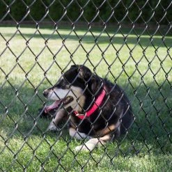 Discount ❤️ 48 in. x 50 ft. 9-Gauge Black Fabric Chain Link by Everbilt ⭐ -Cheap Fence Gates Plus Store everbilt chain link fence fabric 308864eb fa 1000