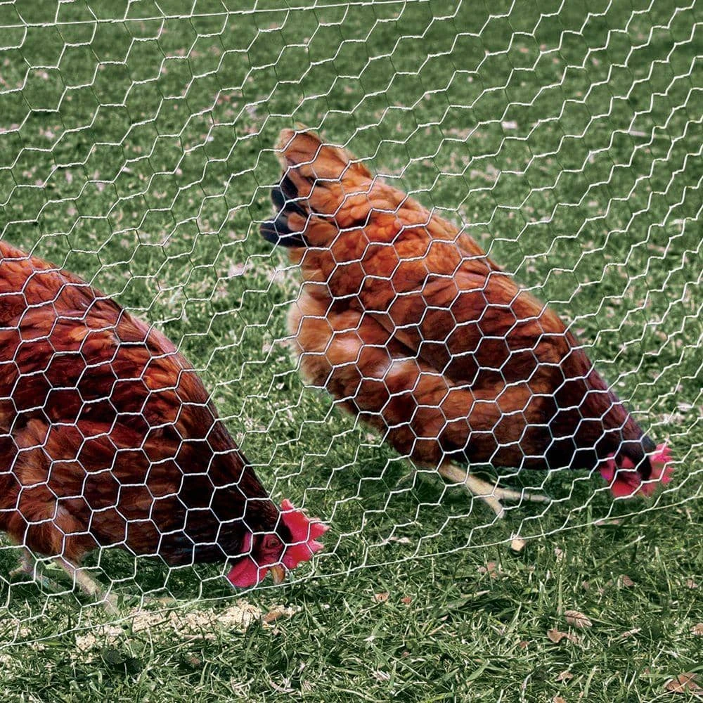 Promo 🎁 1 in. x 2 ft. x 10 ft. Poultry Netting by Everbilt 🤩 6 Promo 🎁 1 in. x 2 ft. x 10 ft. Poultry Netting by Everbilt 🤩 - Image 4