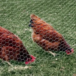 Hot Sale ⌛ 1 in. x 2 ft. x 50 ft. Poultry Netting by Everbilt ✔️ 9 Hot Sale ⌛ 1 in. x 2 ft. x 50 ft. Poultry Netting by Everbilt ✔️ -Cheap Fence Gates Plus Store everbilt chicken wire 308411eb 1f 1000