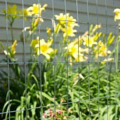 Buy โ๏ธ 4 ft. x 50 ft. 14-Gauge Welded Wire by Everbilt ๐ 15 Buy โ๏ธ 4 ft. x 50 ft. 14-Gauge Welded Wire by Everbilt ๐ -Cheap Fence Gates Plus Store everbilt garden fencing 308302eb 31 1000