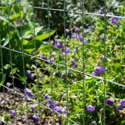 Buy โ๏ธ 4 ft. x 50 ft. 14-Gauge Welded Wire by Everbilt ๐ 14 Buy โ๏ธ 4 ft. x 50 ft. 14-Gauge Welded Wire by Everbilt ๐ -Cheap Fence Gates Plus Store everbilt garden fencing 308302eb fa 1000