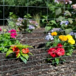 Buy 🌟 2.3 ft. x 50 ft. Steel Garden Fence Welded Wire by Everbilt ⭐ -Cheap Fence Gates Plus Store everbilt garden fencing 308371eb 1f 1000