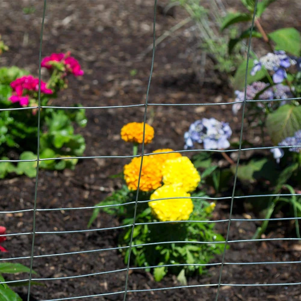 Buy ✔️ 2.3 ft. x 50 ft. PVC Green Garden Fence Welded Wire by Everbilt 🎉 5 Buy ✔️ 2.3 ft. x 50 ft. PVC Green Garden Fence Welded Wire by Everbilt 🎉 - Image 3