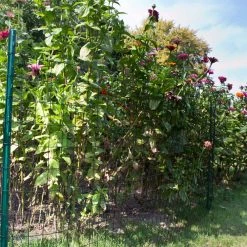 Best Sale ✨ 3 ft. x 50 ft. Black PVC 🔔 Coated Welded Wire by Everbilt 🎉 -Cheap Fence Gates Plus Store everbilt garden fencing 308381eb 4f 1000