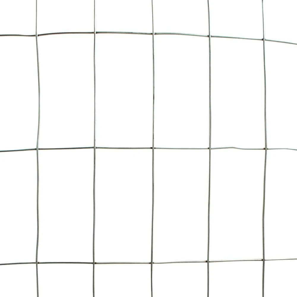 Budget π 5 ft. x 100 ft. 14-Gauge Welded Wire by Everbilt π 5 Budget π 5 ft. x 100 ft. 14-Gauge Welded Wire by Everbilt π - Image 3