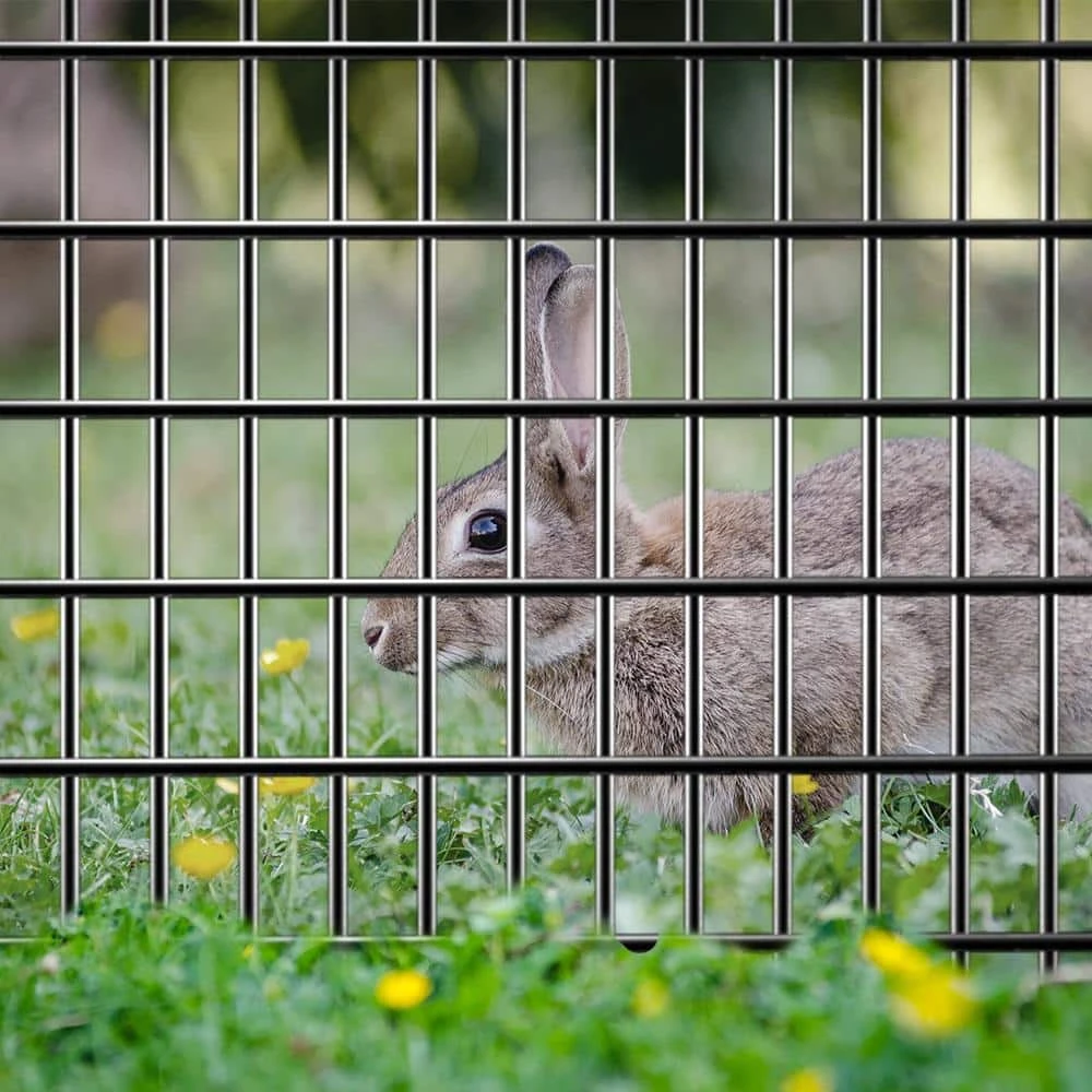 Top 10 ✨ 6 ft. x 50 ft. 12.5-Gauge Galvanized Welded Wire with 2 in. x 4 in. Mesh Size by FAR NORTH INTERNATIONAL ✨ 5 Top 10 ✨ 6 ft. x 50 ft. 12.5-Gauge Galvanized Welded Wire with 2 in. x 4 in. Mesh Size by FAR NORTH INTERNATIONAL ✨ - Image 3