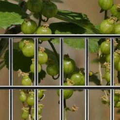 Budget ✨ 5 ft. x 50 ft. 14-Gauge Galvanized Welded Wire with 2 in. x 4 in. Mesh Size by Far North International ⌛ -Cheap Fence Gates Plus Store far north international welded wire fencing w14605024 4f 1000