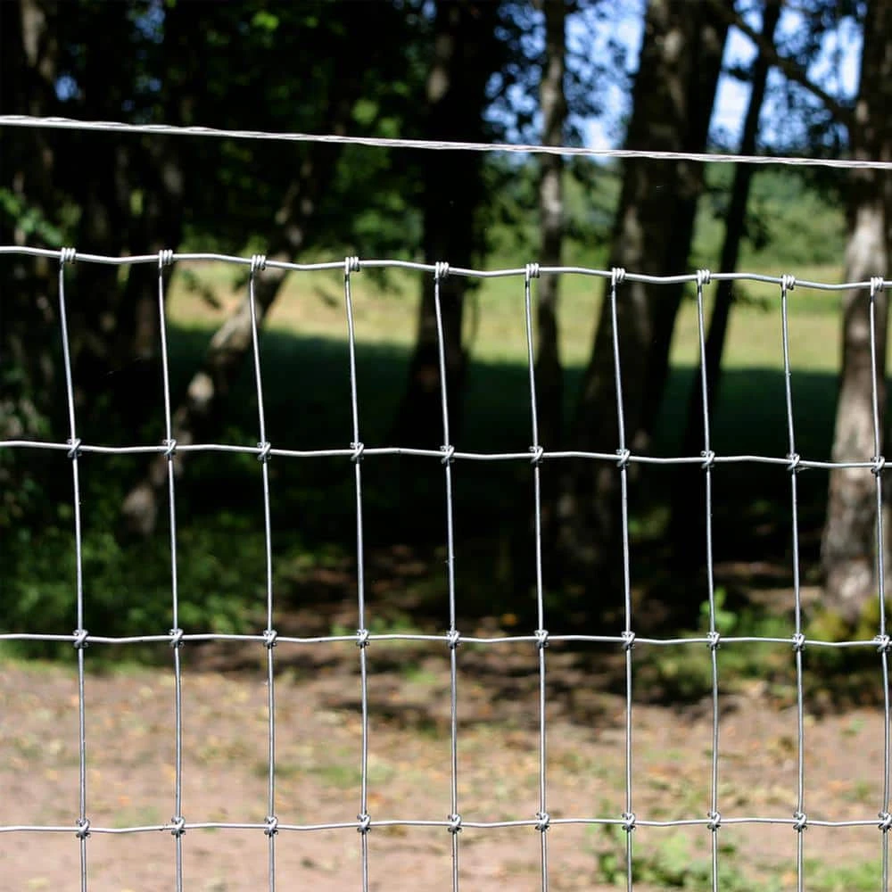 Cheap 😉 1320 ft. 12.5-Gauge Barbless Wire by FARMGARD 💯 3 Cheap 😉 1320 ft. 12.5-Gauge Barbless Wire by FARMGARD 💯 - Image 2