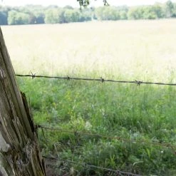 Coupon ❤️ 1320 ft. 12-1/2 Gauge 2-Point Class I Barbed Wire by FARMGARD ✔️ 12 Coupon ❤️ 1320 ft. 12-1/2 Gauge 2-Point Class I Barbed Wire by FARMGARD ✔️ -Cheap Fence Gates Plus Store farmgard barbed wire fencing 317821a 44 1000
