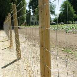 Best Sale ⭐ 47 in. x 330 ft. Field Fence with Galvanized Steel Class 1 Coating by FARMGARD 🎉 10 Best Sale ⭐ 47 in. x 330 ft. Field Fence with Galvanized Steel Class 1 Coating by FARMGARD 🎉 -Cheap Fence Gates Plus Store farmgard farm fencing 348106b 1f 1000