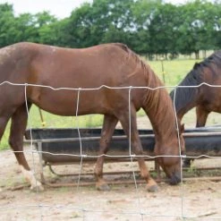 Buy ⌛ 72 in. x 100 ft. Horse Fence with Galvanized Steel Class 1 ❤️ Coating by FARMGARD ❤️ -Cheap Fence Gates Plus Store farmgard farm fencing 348312b 76 1000