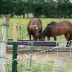 Buy ⌛ 72 in. x 100 ft. Horse Fence with Galvanized Steel Class 1 ❤️ Coating by FARMGARD ❤️ -Cheap Fence Gates Plus Store farmgard farm fencing 348312b fa 1000