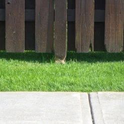 Best deal ⭐ Redwood Fence Post Guard 3.5 in. L x 3.5 in. W x 3 in. H for Wood by Fence Armor 🎁 -Cheap Fence Gates Plus Store fence armor fence hardware fa4x4wrwmb 1f 1000