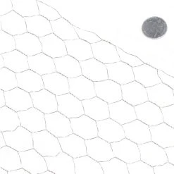 Best deal ✔️ 2 ft. x 10 ft. 20-Gauge Poultry Netting with 1 in. Mesh by Fencer Wire 👏 -Cheap Fence Gates Plus Store fencer wire chicken wire nb20 2x10m1 31 1000