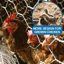 Promo 👏 3 ft. x 150 ft. 20-Gauge Poultry Netting with 2 in. Mesh by Fencer Wire 😉 -Cheap Fence Gates Plus Store fencer wire chicken wire nb20 3x150m2 44 1000