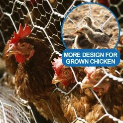 Discount โญ 3 ft. x 50 ft. 20-Gauge Poultry Netting with 2 in. Mesh by Fencer Wire ๐ 12 Discount โญ 3 ft. x 50 ft. 20-Gauge Poultry Netting with 2 in. Mesh by Fencer Wire ๐ -Cheap Fence Gates Plus Store fencer wire chicken wire nb20 3x50m2 44 1000