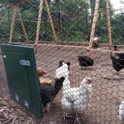 Outlet 🛒 4 ft. x 150 ft. 20-Gauge Black PVC Coated Poultry Netting with 1 in. Mesh by Fencer Wire 🔔 -Cheap Fence Gates Plus Store fencer wire chicken wire nv20 b4x150m1 44 1000