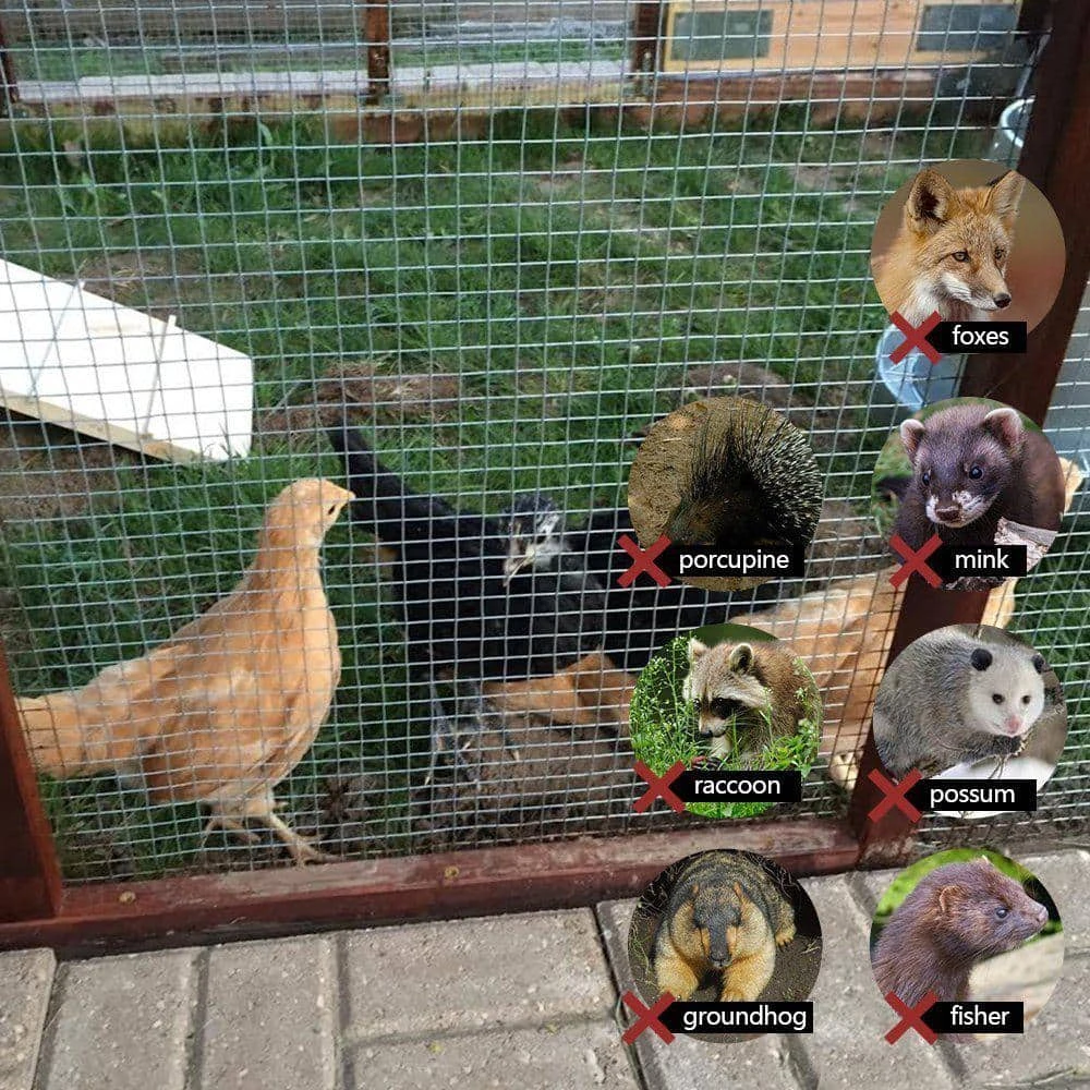 Outlet 🔥 1/2 in. x 2 ft. x 10 ft. 19-Gauge Hardware Cloth by Fencer Wire ✔️ 9 Outlet 🔥 1/2 in. x 2 ft. x 10 ft. 19-Gauge Hardware Cloth by Fencer Wire ✔️ - Image 7