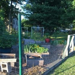 Best deal 😀 1 in. x 2.25 in. x 7 ft. Green Steel U Fence Post by Everbilt ✔️ -Cheap Fence Gates Plus Store green everbilt garden fencing 901157eb 1f 1000