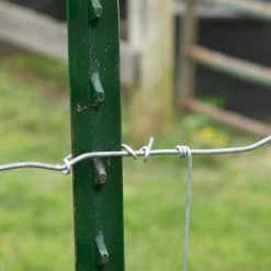Discount 👏 1-3/4 in. x 3-1/2 in. x 7 ft. Green Steel Fence T-Post by Everbilt ✔️ 15 Discount 👏 1-3/4 in. x 3-1/2 in. x 7 ft. Green Steel Fence T-Post by Everbilt ✔️ -Cheap Fence Gates Plus Store green everbilt garden fencing 901177eb fa 1000