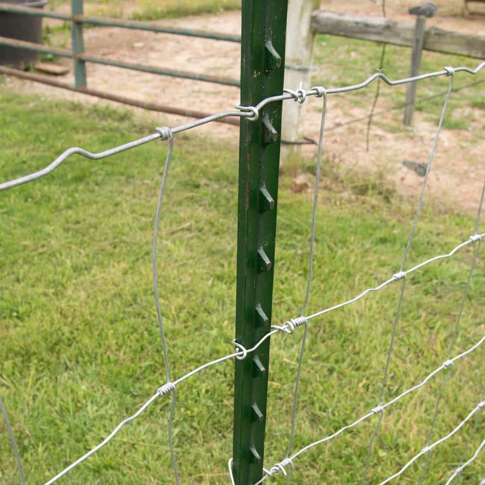 Cheap 🔥 1-3/4 in. x 3-1/2 in. x 6-1/2 ft. Green Steel Fence T-Post by Everbilt 🔔 8 Cheap 🔥 1-3/4 in. x 3-1/2 in. x 6-1/2 ft. Green Steel Fence T-Post by Everbilt 🔔 - Image 6