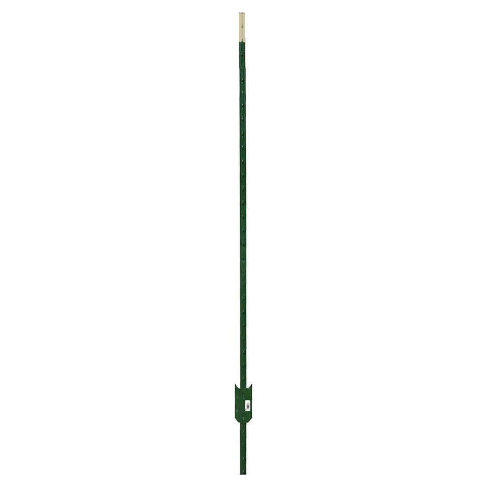 Cheap 🔥 1-3/4 in. x 3-1/2 in. x 6-1/2 ft. Green Steel Fence T-Post by Everbilt 🔔 3 Cheap 🔥 1-3/4 in. x 3-1/2 in. x 6-1/2 ft. Green Steel Fence T-Post by Everbilt 🔔