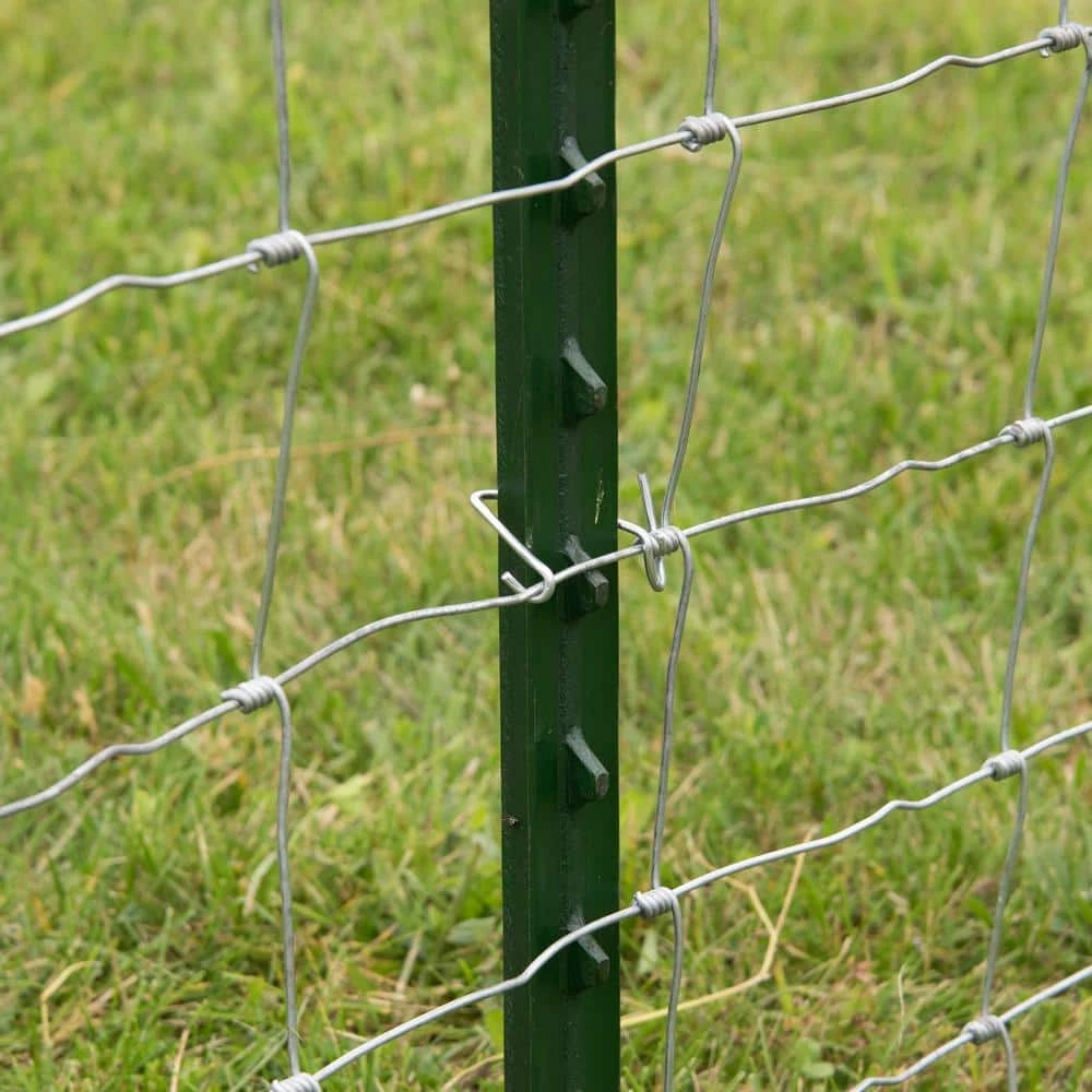 Cheapest ❤️ 1-3/4 in. x 3-1/2 in. x 5 ft. Green Steel Fence T-Post by Everbilt 😉 7 Cheapest ❤️ 1-3/4 in. x 3-1/2 in. x 5 ft. Green Steel Fence T-Post by Everbilt 😉 - Image 5