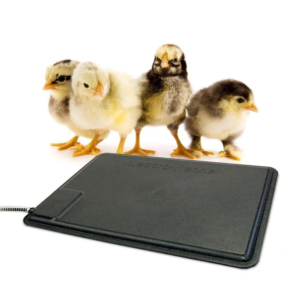Flash Sale ✨ Thermo-Chicken 12.5 in. x 18.5 in. 40-Watt Heated Pad by K&H Pet Products ✨ 5 Flash Sale ✨ Thermo-Chicken 12.5 in. x 18.5 in. 40-Watt Heated Pad by K&H Pet Products ✨ - Image 3