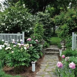 Brand new ⭐ LaFayette 4 ft. H x 8 ft. W White Vinyl Spaced Picket Fence Panel Kit by Veranda 🎁 -Cheap Fence Gates Plus Store white veranda vinyl fence panels 128017 66 1000