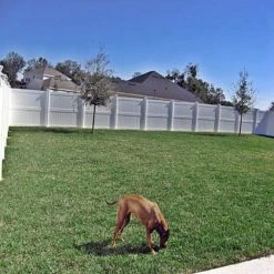 Outlet 🤩 Augusta 8 ft. H x 8 ft. W White Vinyl Privacy Fence Panel Kit by Weatherables 🤩 -Cheap Fence Gates Plus Store white weatherables vinyl fence panels pwpr 3r 8x8 fa 1000