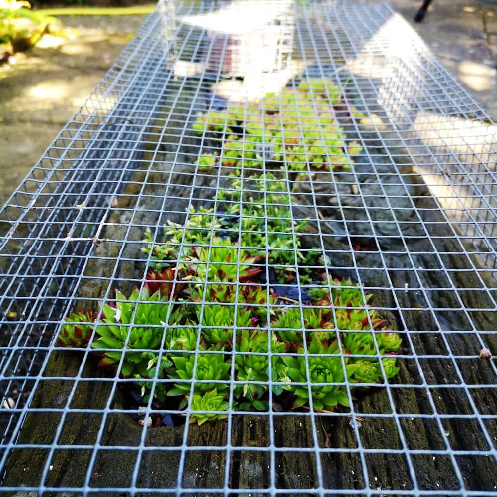 Best Pirce ๐ฅฐ 1/2 in. x 4 ft. x 50 ft. Hardware Cloth : 19-Gauge Wire Mesh Fence : Chicken Wire, Rabbit Cage : Garden & Plant Support by Yard Elements โจ 5 Best Pirce ๐ฅฐ 1/2 in. x 4 ft. x 50 ft. Hardware Cloth : 19-Gauge Wire Mesh Fence : Chicken Wire, Rabbit Cage : Garden & Plant Support by Yard Elements โจ - Image 3