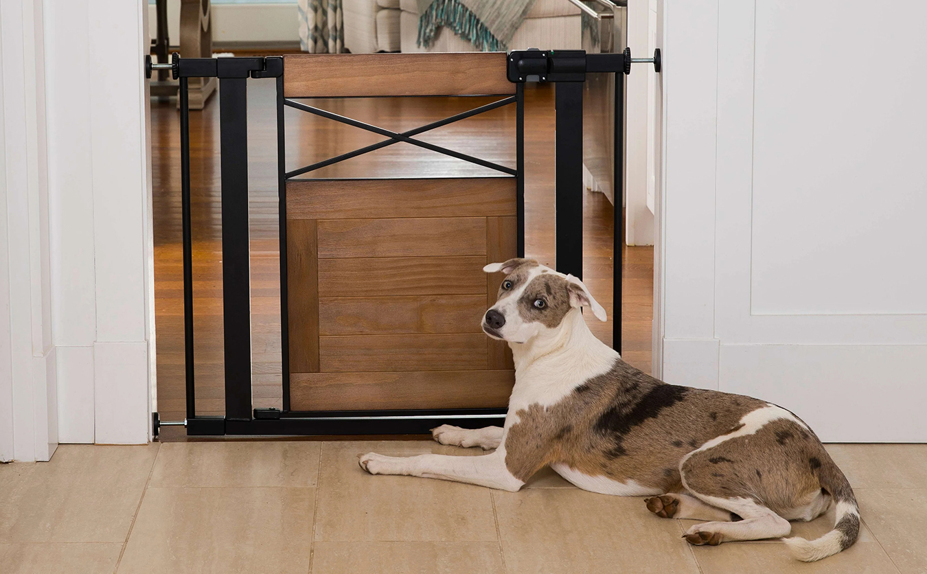 Cheap Fence Gates Plus Store -Cheap Fence Gates Plus Store Untitled